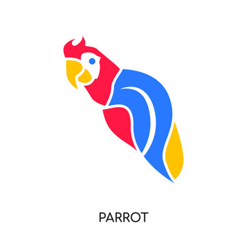 parrot vector isolated on white background