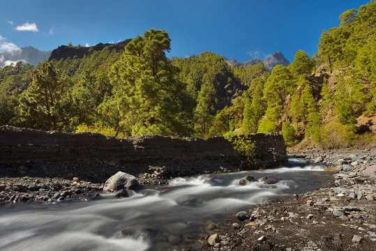Forest with a mountain river in caldera of Taburiente, island of La Palma, Canary Islands