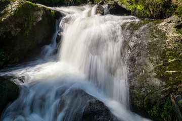 Fototapeta premium Germany, One step of triberg waterfalls terraces in black forest nature landscape