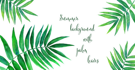 Fototapeta na wymiar Palm leaf. Hand drawn tropical leaves. Watercolor illustration 