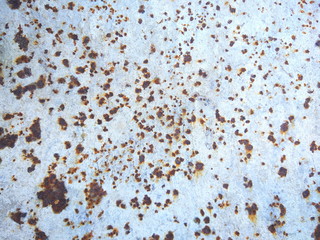 Texture of rusty surface, abstract brown background of old iron sheet, pattern with rust for...