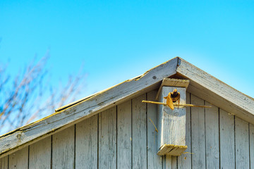 a birdhouse and spring, at sunset