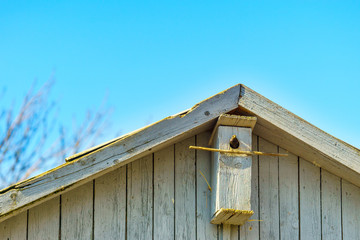a birdhouse and spring, at sunset