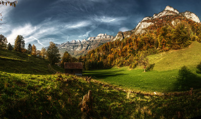 Fototapeta premium Churfirsten and Autumn Woods seen from Berschis