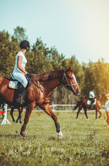 Een vrouwelijke jockey neemt deel aan wedstrijden in de paardensport, springen.