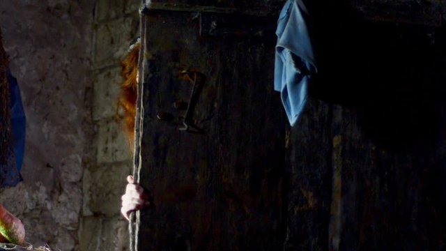 girl in an ethnic dress enters a country barn. Fairy-tale character. Cinderella