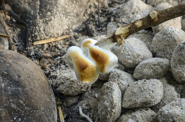 roasting marshmallows