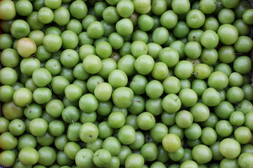 Ripe greengage plums background.