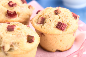 Fototapeta premium Frische hausgemachte Muffins mit Rhabarber und Joghurt, bestreut mit Zimt und Zucker (Selektiver Fokus, Fokus auf die obere Vorderkante des rechten Muffins)