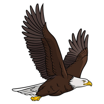Eagle 012