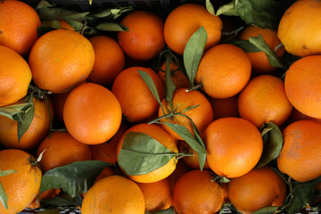 Ripe oranges background.