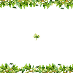 frame of watercolor green grass and flowers of petals and blades of clover isolated on white background drawing