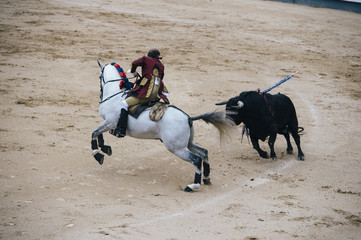 Corrida. Matador and horse Fighting in a typical Spanish Bullfight