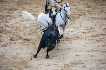 Corrida. Matador and horse Fighting in a typical Spanish Bullfight