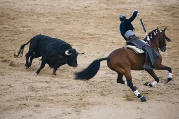 Photo sur Aluminium Tauromachie Corrida. Matador and horse Fighting in a typical Spanish Bullfight