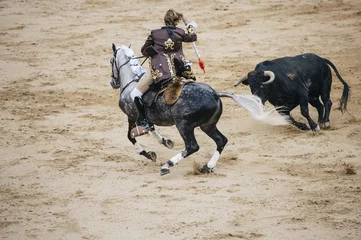 Photo sur Aluminium Tauromachie Corrida. Matador et combats de chevaux dans une corrida espagnole typique
