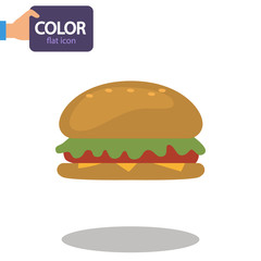 Hamburger color flat icon
