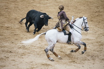 Corrida. Matador et combats de chevaux dans une corrida espagnole typique