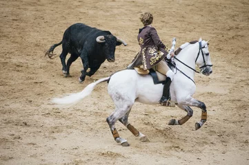 Plaid mouton avec photo Tauromachie Corrida. Matador et combats de chevaux dans une corrida espagnole typique