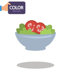 Plate with vegetable salad color flat icon