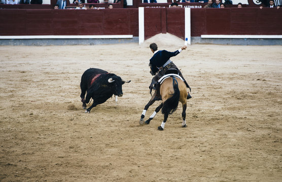 Corrida. Matador and horse Fighting in a typical Spanish Bullfight