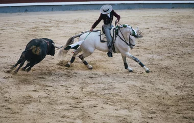 Photo sur Aluminium Tauromachie Corrida. Matador and horse Fighting in a typical Spanish Bullfight