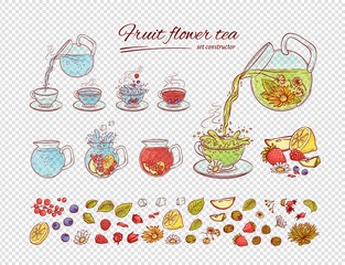 Vector tea constructor flowers fruits brew process. Make and pour in transparent cup hot or cold aromatic drink with blossoming tea berries leaves. Sketch set collection hand drawn illustration