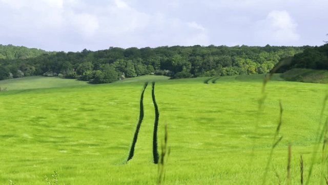 Paysage Normand Ondulation dans les champs