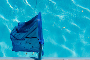 Trash in pool and net cleaner close up