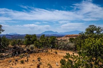 I captured this image in the vicinity of the Flint Trail in the Maze District of the Canyonlands National Park in Utah.