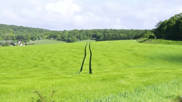 Paysage Normand Ondulation dans les champs