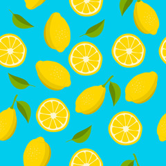 Citrus seamless pattern. Hand drawn lemon background. Vector illustration