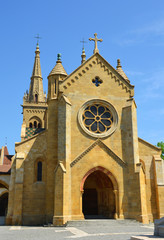 Fototapeta premium The Collegiate Church of Neuchatel