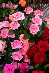 flowers in shop