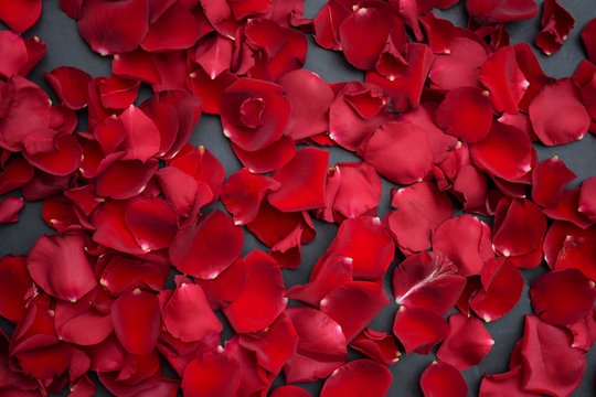 Red rose petals background