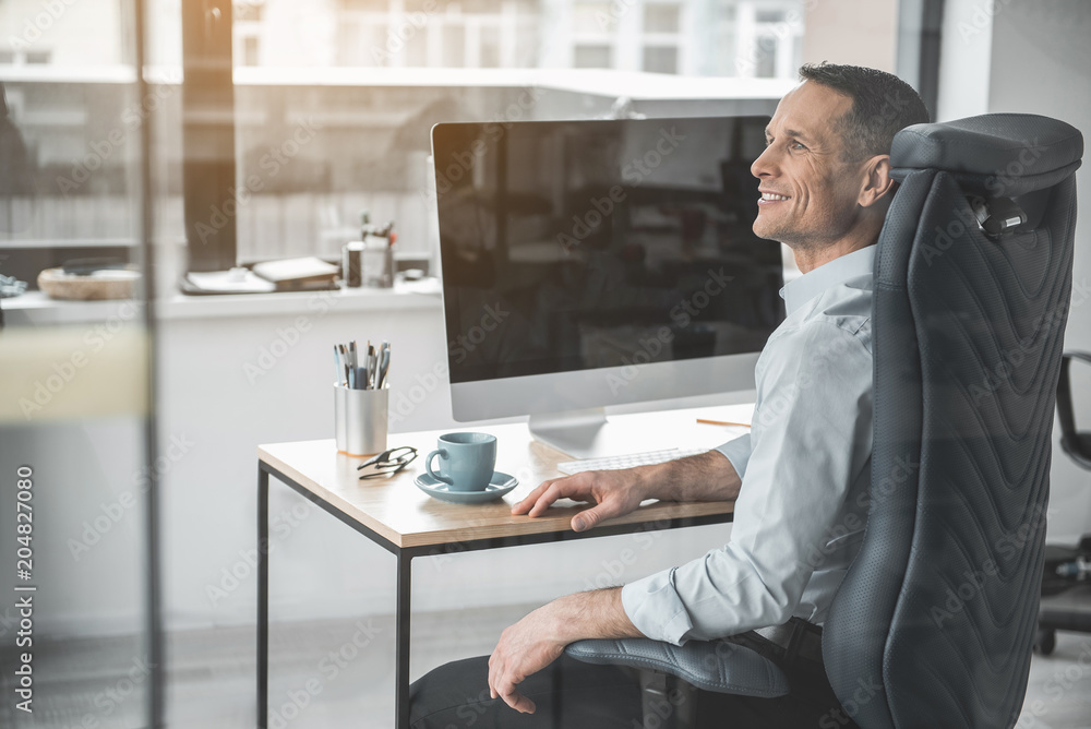 Poster side view beaming businessman having job with computer while locating at desk