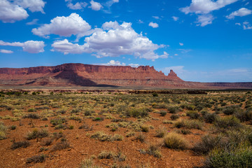Fototapeta premium I captured this image on the road to The Maze Overlook from the Golden Stairs area in the Canyonlands National Park in Utah.