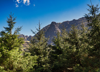 Ennerdale valley and Pillar rock