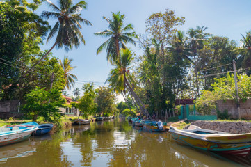 Naklejka na ściany i meble Dutch canal in Negombo.