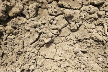 Cracked earth, cracks in the dark earth, texture of the natural surface, lack of water,...