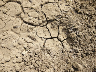 Cracked earth, cracks in the dark earth, texture of the natural surface, lack of water,...