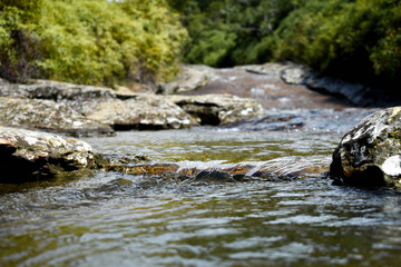 Tranquilidad del agua