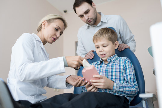 Low angle portrait of pretty female dentist holding tooth model showing it to little boy sitting in dental chair with father at his side