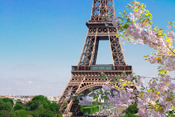 Fototapety  Eiffel Tower and Paris cityscape
