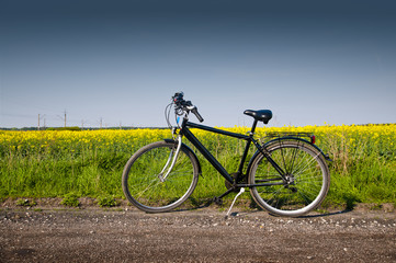 Fototapeta premium Black bike on a country road during spring