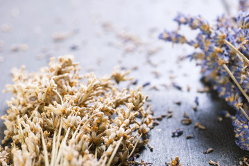 Dried lavender bunch variation on black wooden table background