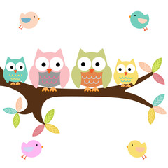 Four owls on a branch with birds