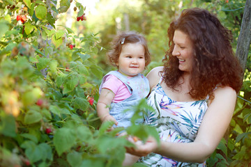 Woman with a baby in raspberry summer garden. Country life, family