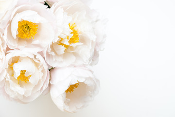 Fototapeta na wymiar Beautiful bouquet of white Chinese peonies