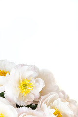 Fototapeta premium Beautiful bouquet of white Chinese peonies